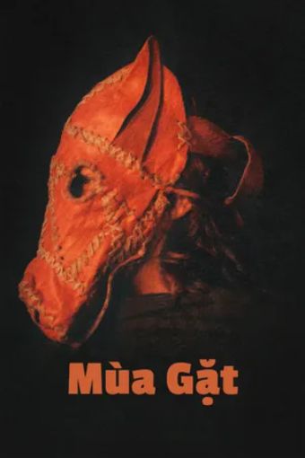 Mùa Gặt - Harvest