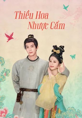 Thiều Hoa Nhược Cẩm - Youthful Glory