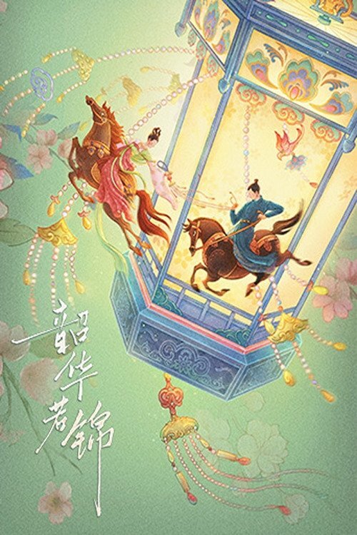 Thiều Hoa Nhược Cẩm - 