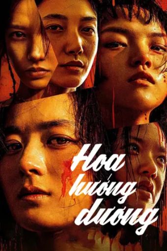 Hoa Hướng Dương - We Girls