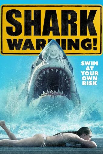 Cảnh Báo Cá Mập - Shark Warning