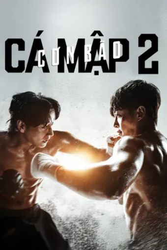 Cá Mập: Cơn Bão - Shark: The Storm